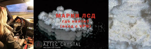 прущие грибы Богородск