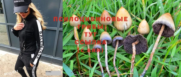 a pvp Богородицк