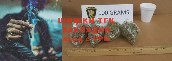 гашиш Богданович