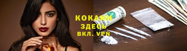 прущие грибы Богородск
