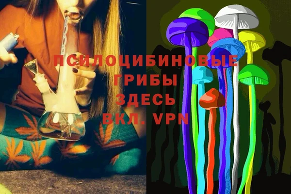 гашиш Богданович