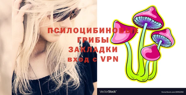 ECSTASY Покровск