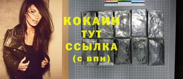 прущие грибы Богородск
