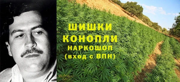 гашиш Богданович