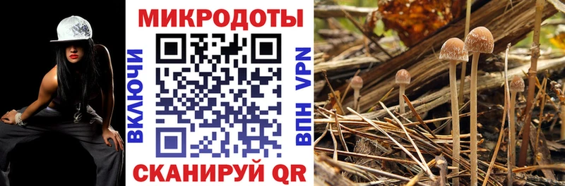 Галлюциногенные грибы GOLDEN TEACHER  Мыски 